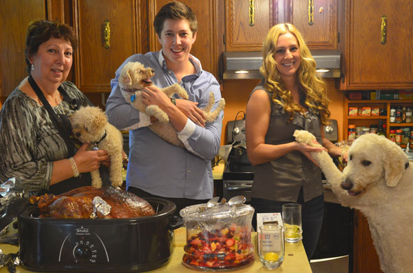 Turkey to poodle comparison