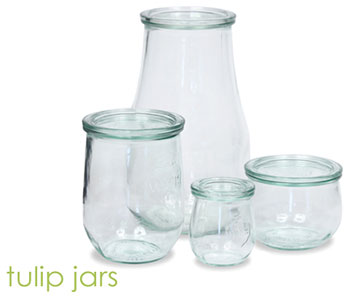 largetulip-jars