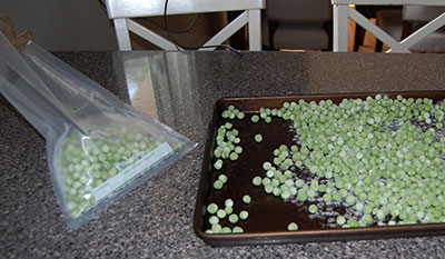DSC_0109-peas-400