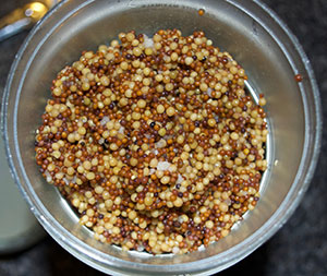 Mustard Grains Soaked