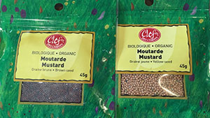 Brown and Yellow Mustard Seeds