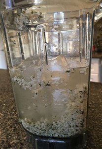 Seeds in the blender