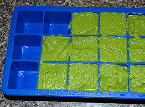 Paste ready to freeze