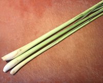 Lemon Grass