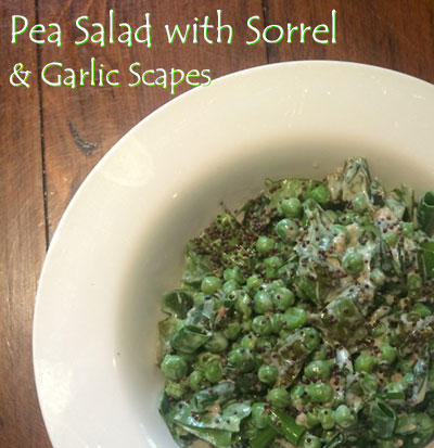 Pea Salad with Sorrel and Garlic Scapes